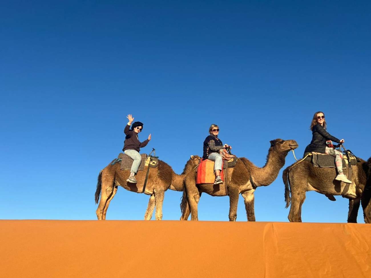 On camels to camp