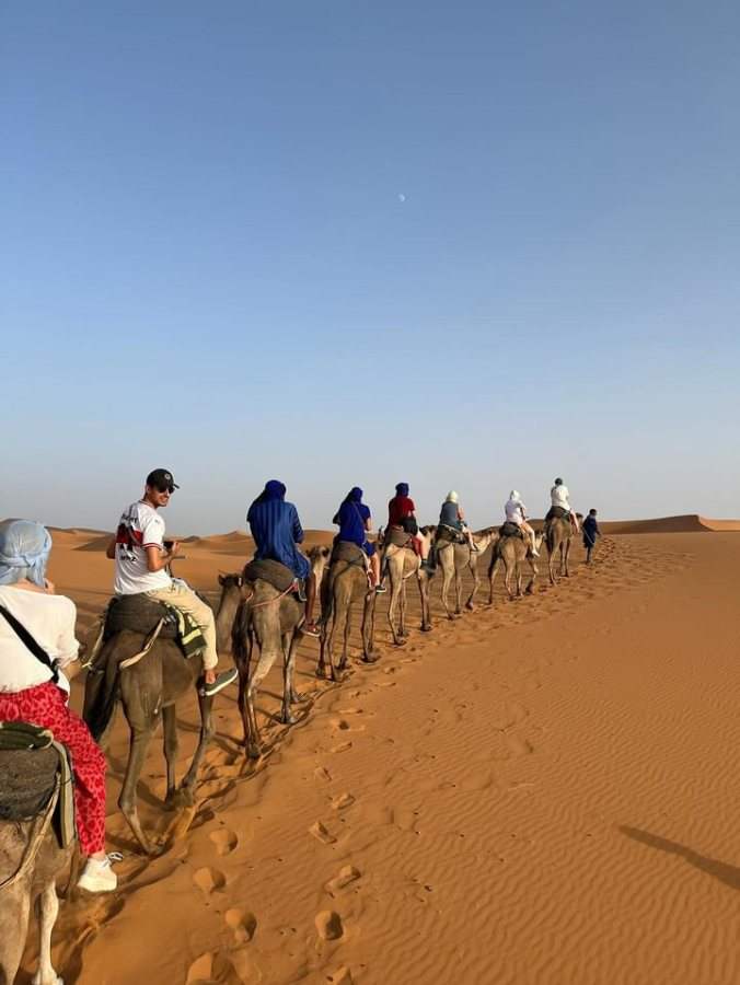 A caravan across the dunes
