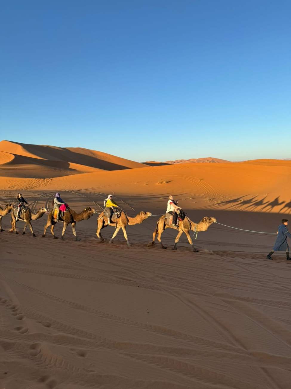Caravan at sunset