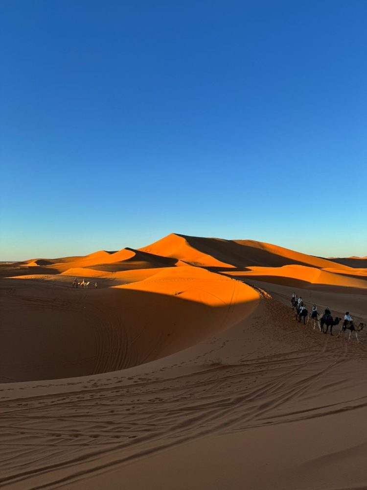 Sunset on the dunes